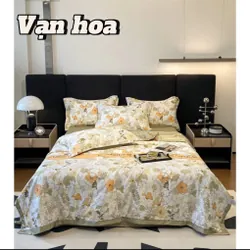 Bộ ga lụ thái 590777