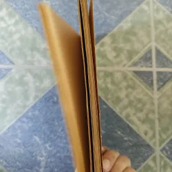 Luận đề về Đoạn Tuyệt nửa chừng xuân mười điều tâm niệm - G.S Chu Đăng Sơn 708612