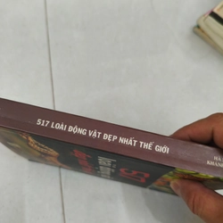 517 loài động vật đẹp nhất thế giới  413032