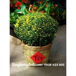 Giỏ cần xé 454326