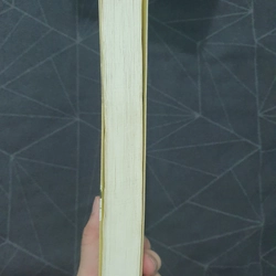 "Thái tử phi thăng chức ký" (tập 1) - Tiên Chanh 538922