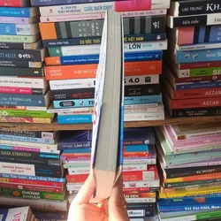 Cuộc Chuyển Dịch Đại Dương Xanh 695576