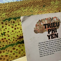 Triệu Phi Yến - Nam Cung Bắc 538481
