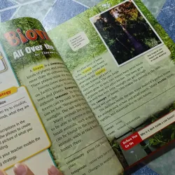 Cornerstine ( 1B, 3, 4, 5) - Pearson Longman 1019397