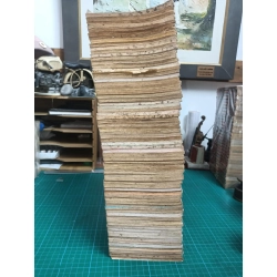 TRUYỆN TRANH TIỂU THƯ NHU ĐẠO 295842
