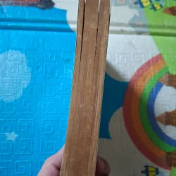 Chim Ưng Vẫy Cánh 786985