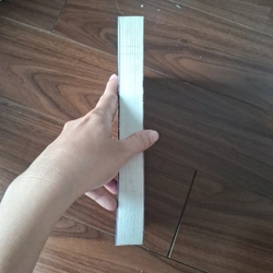 Mùa đông dài 509967