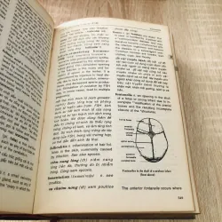 TỪ ĐIỂN Y HỌC ANH - VIỆT 1004690