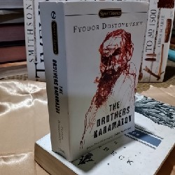The brothers Karamazov 4696