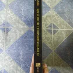 Tượng thờ Hindu giáo từ đền tháp chăm đến chùa miếu Việt - Nguyễn Hữu Thông 748830