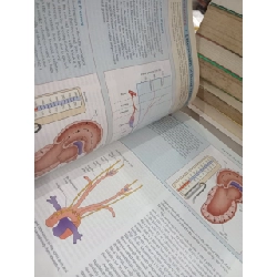Pathophysiology: Concepts of Altered Health States - C. M. Porth, G. Matfin 792226