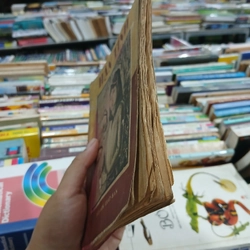 HẬN TÌNH - HOÀI LÂN 546491