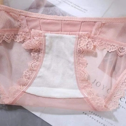 Quần lót ren lưới mỏng mịn thoáng mát free size 50 - 60kg 469784