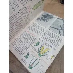 Sciences naturelles 5e 598350