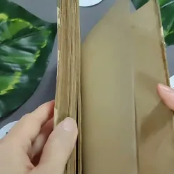 Trà Hoa Nữ 604659