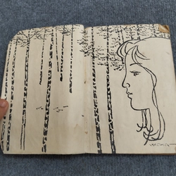 BẠCH ĐÀN - LÊ PHƯƠNG 479743