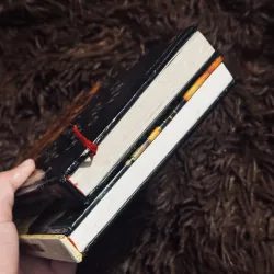 Combo 2 cuốn văn học Việt Nam (bìa cứng) 995033