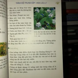 Phương pháp trồng 100 loài hoa trong chậu - Lưu Chí Tùng 785795