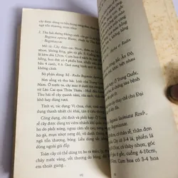 HOA QUẢ MÙA XUÂN VỪA ĐẸP VỪA NGON 693652