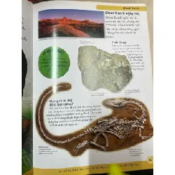 Bách khoa cho trẻ em: Bách khoa khủng long