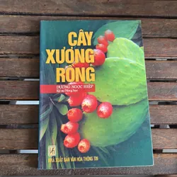 II Cây Cảnh: Xương Rồng Và Cây Mọng Nước (Sách Màu) - Dương Ngọc Hiệp 718583