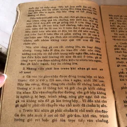 Úm gà con - Đào Đức Long 992598