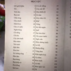 Chữa bệnh từ cây cỏ vườn nhà và bài thuốc gia truyền - Hải Quỳnh 1005367