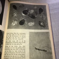 Bách khoa minh hoạ bằng hình ảnh - Thế giới động vật  779595