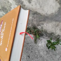 Dinh trấn Thanh Chiêm và chữ Quốc ngữ  1026084