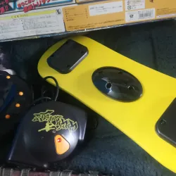 Trượt tuyết tốc độ cao của japan  1020233