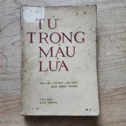 Từ trong máu lửa | tiểu luận. Phê bình. Giới thiệu | Bảo định giang | 1976