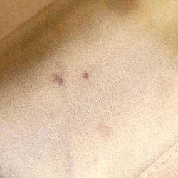 Túi xách Louis Vuitton Monogram Empreinte Vanity PM M45608 - Hàng hiệu Chính hãng 771211