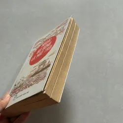 Ngoài bờ Đông là mặt trời - Trường An (t01) 750169