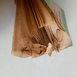 Mấy vấn đề lý luận về thời kỳ quá độ lên Chủ nghĩa xã hội ở Việt Nam 🌻 576611