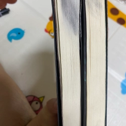 19 năm mưu sát ( 2 tập ) 546550