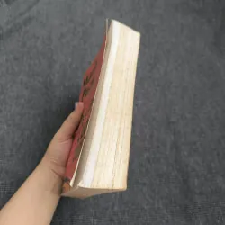 Ông trùm cuối cùng (Hậu Bố Già) - Mario Puzo 543692