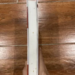 Cuộc đời của luận sư RAJNEESH CHANDRA (6) 715337