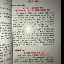Chữa bệnh bằng đồ hình phản chiếu & đồng ứng theo pp diện chuẩn điều khiển liệu pháp 736732
