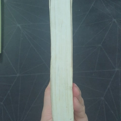 "Câu được con rùa vàng" - Không Hữu Cố Sự 496656