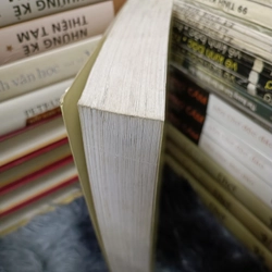 Bùi Giáng trong cõi người ta 477747