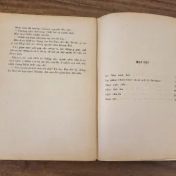 Tác phẩm VH kinh điển: RUỒI TRÂU (1971) 751147