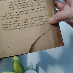 [XƯA] Mộng Du - Huyền Thoại & Hiện Thực (1988) - Phạm Hổ 776011