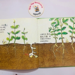 Picturebook bìa cứng tiếng Trung- chủ đề tự nhiên 466257