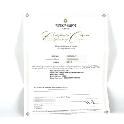 Patek Philippe Twenty-4/2D 7300/1200A-011 SS tự động - Hàng hiệu chính hãng 882476