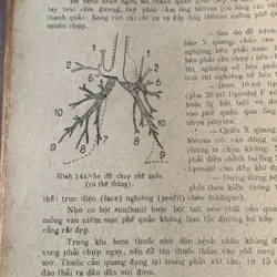 Tai mũi họng thực hành, hình vẽ minh hoạ, Võ Tấn 608499