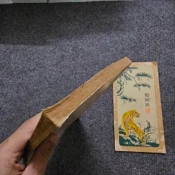 Gã nhân tình - Người tình - Duras 748561