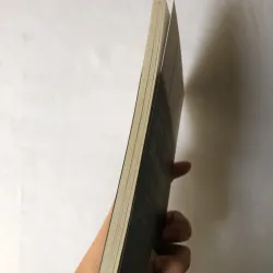 Mặc Nhiên - Elvis Nguyễn 926832