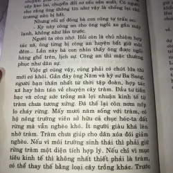 Hoa trà nở muộn - Phạm Anh Hoan 1010606