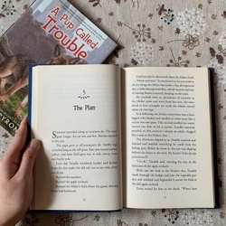 Sách ngoại văn A Pup Called Trouble, Used, Bìa cứng, Fiction For Young Adult 446629