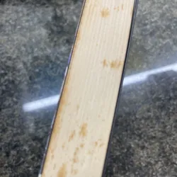 Aristotle Chính trị luận 707497